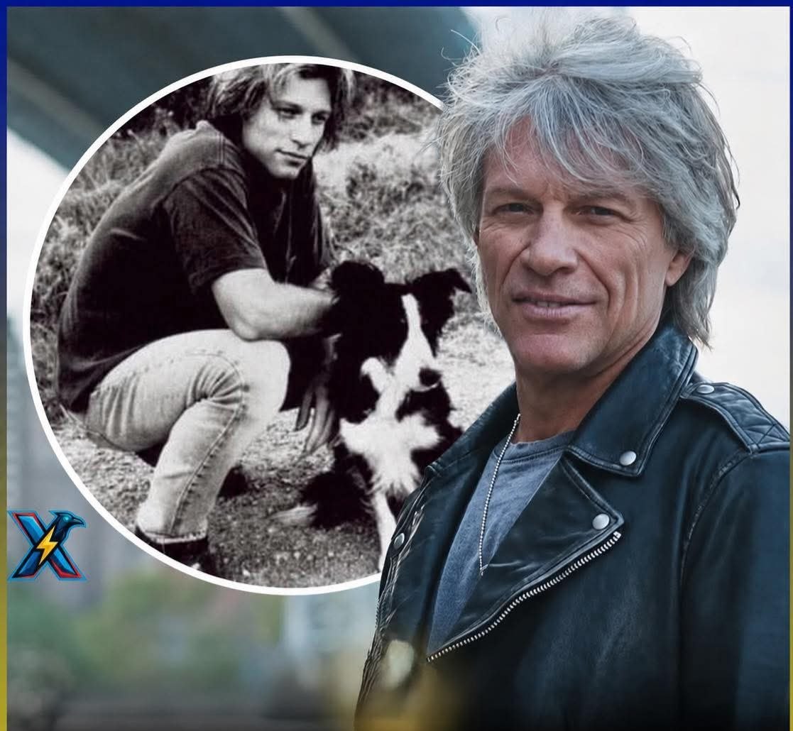 🐾❤️ Jon Bon Jovi dona 5 millones de dólares para ayudar a perros abandonados y darles una nueva oportunidad de vida.